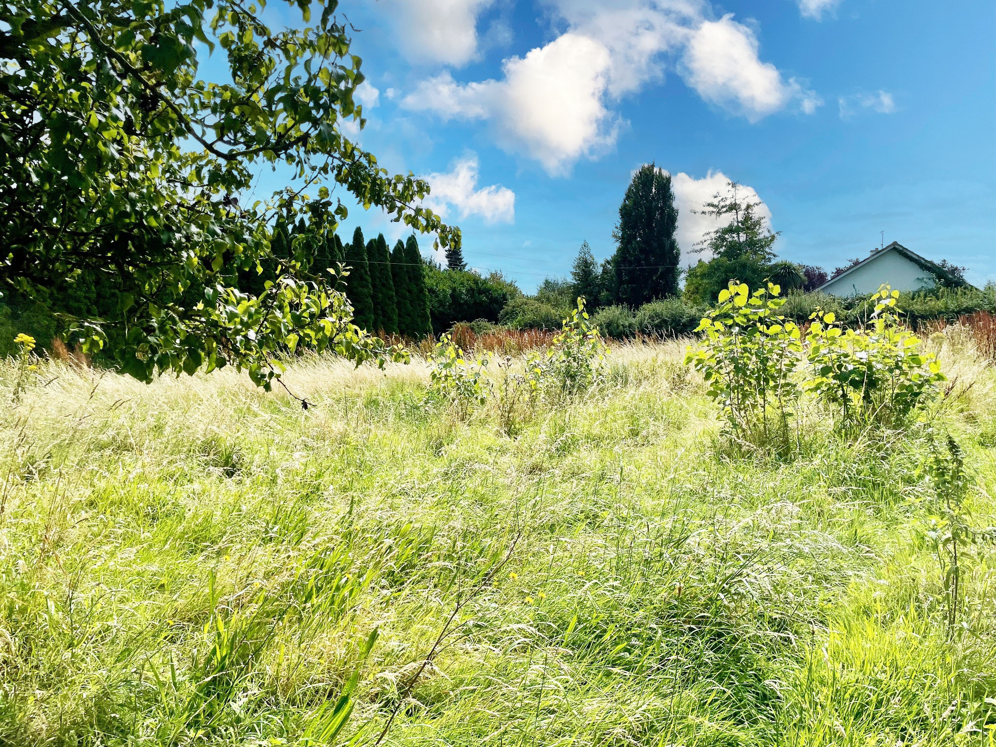 Rathvinden, , Leighlinbridge, Co. Carlow