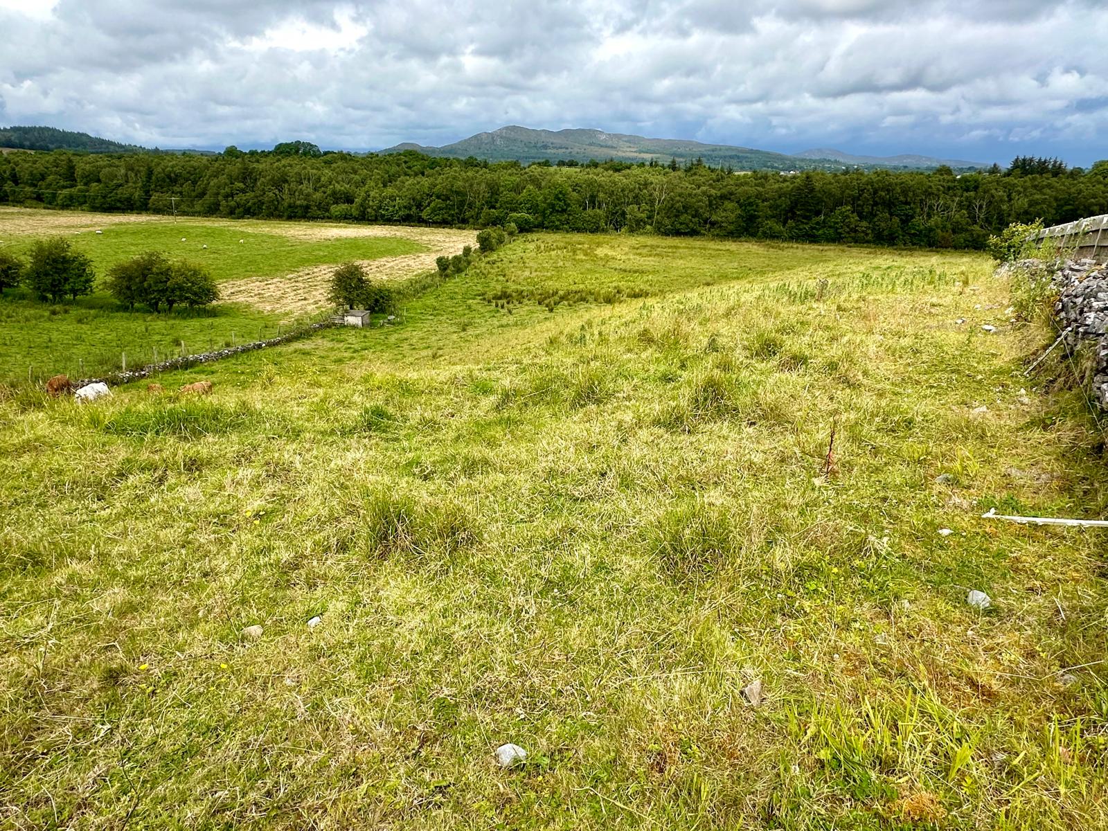 Woodview House, Rathrippin, Collooney, Co. Sligo, F91 V104