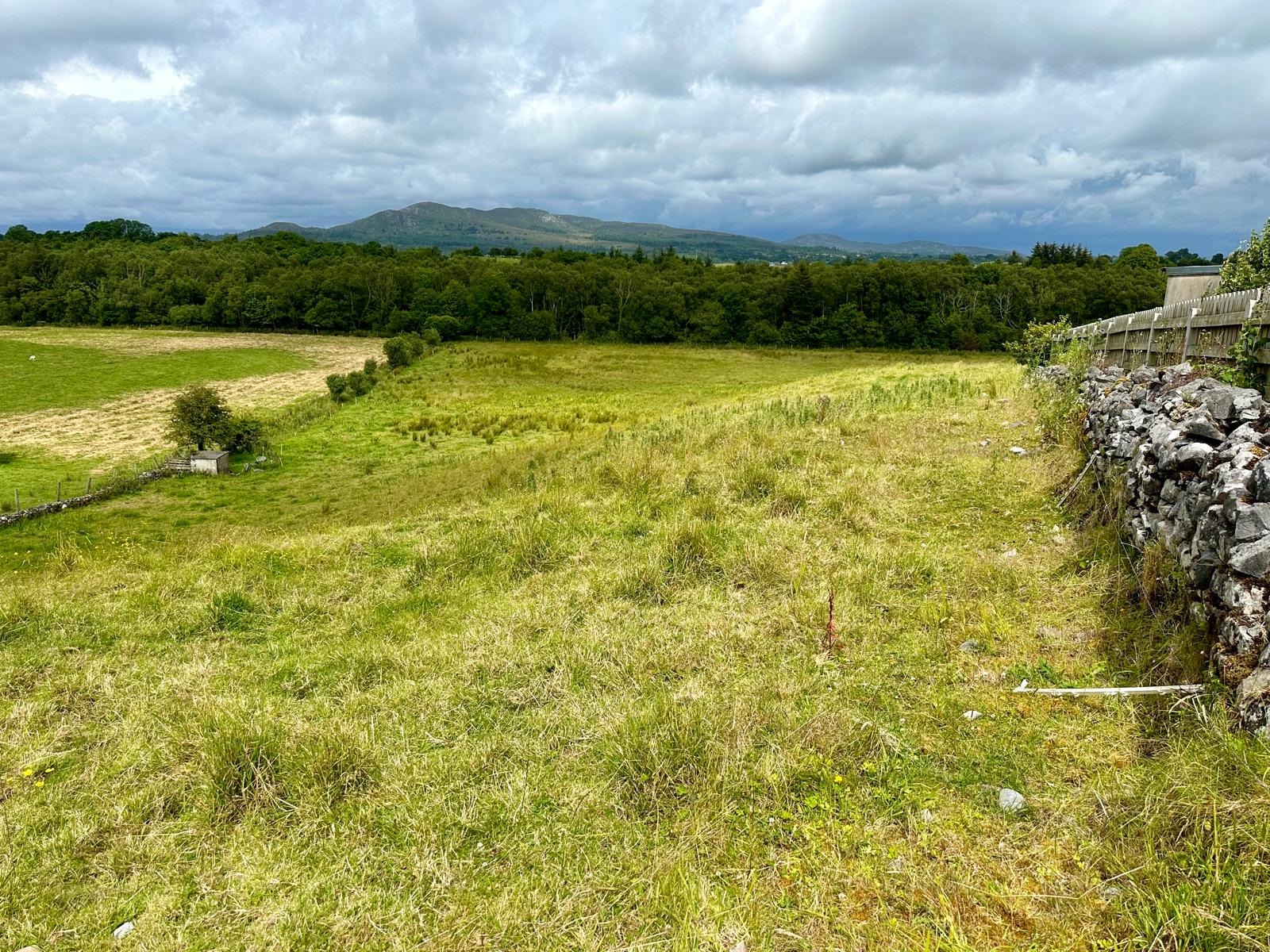 Woodview House, Rathrippin, Collooney, Co. Sligo, F91 V104