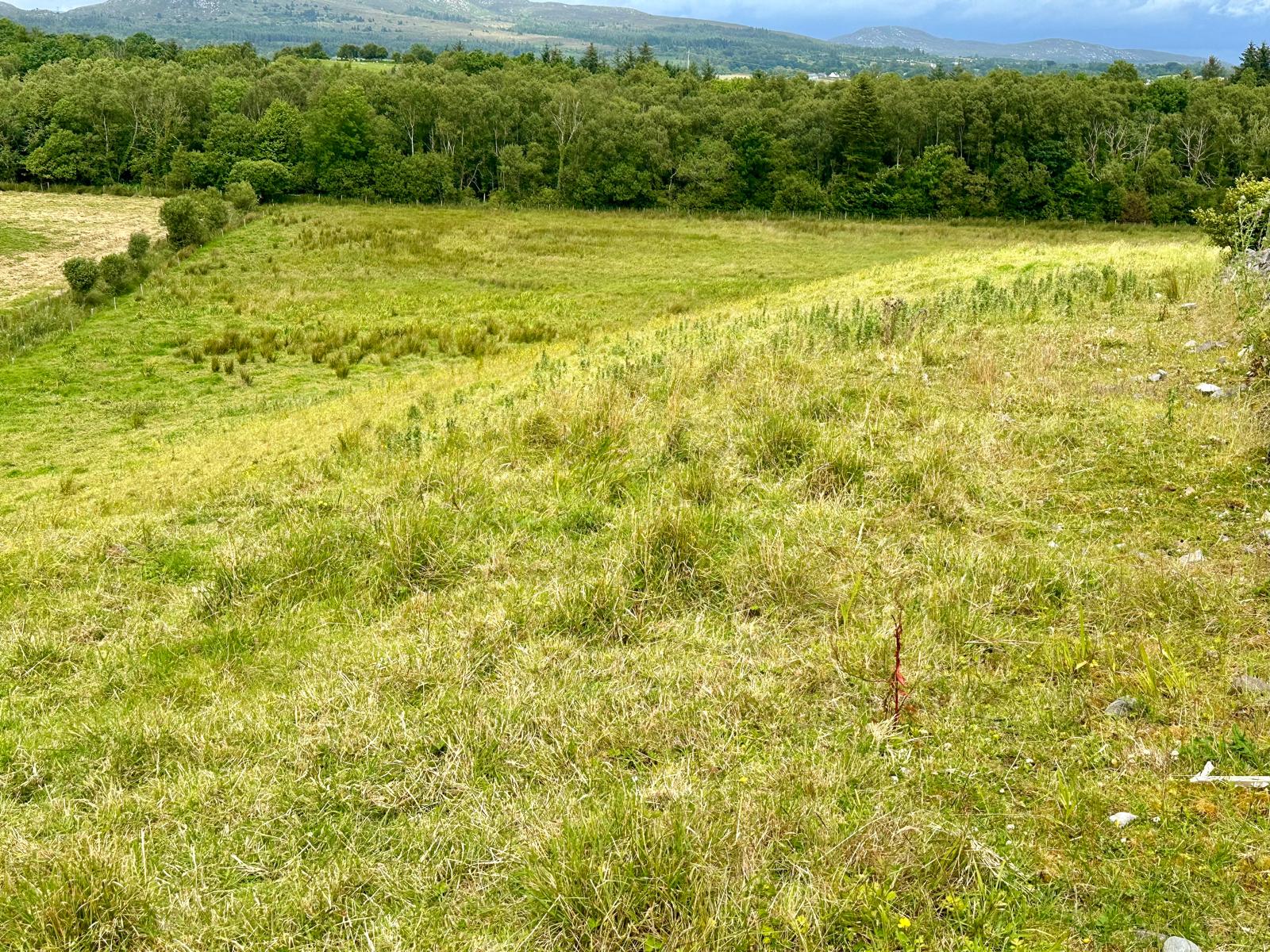 Woodview House, Rathrippin, Collooney, Co. Sligo, F91 V104