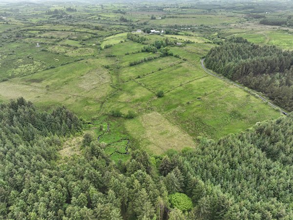 Corradoo, Culfadda, Ballymote, Co. Sligo