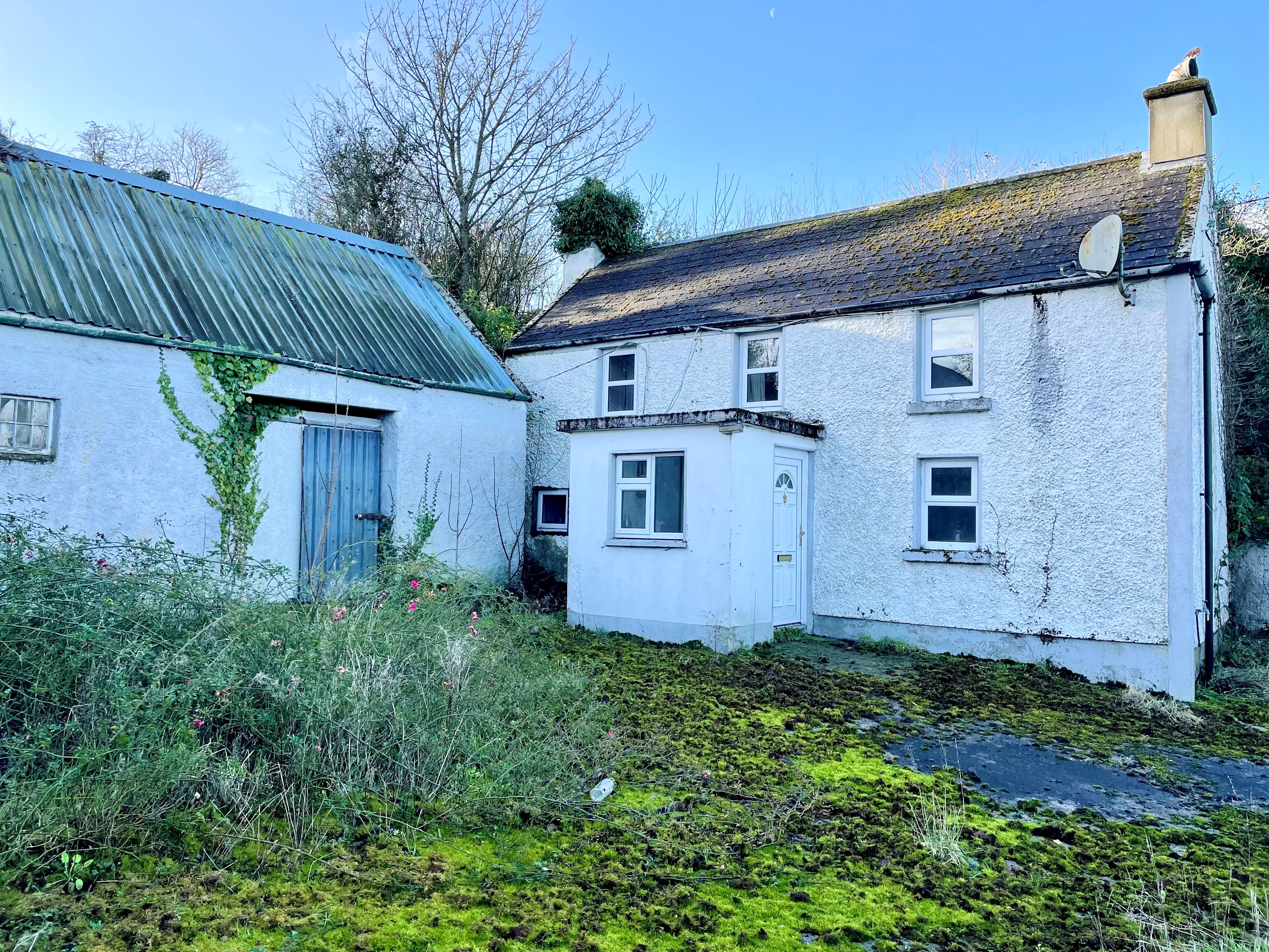 Griffinstown, Borris, , Co. Kilkenny