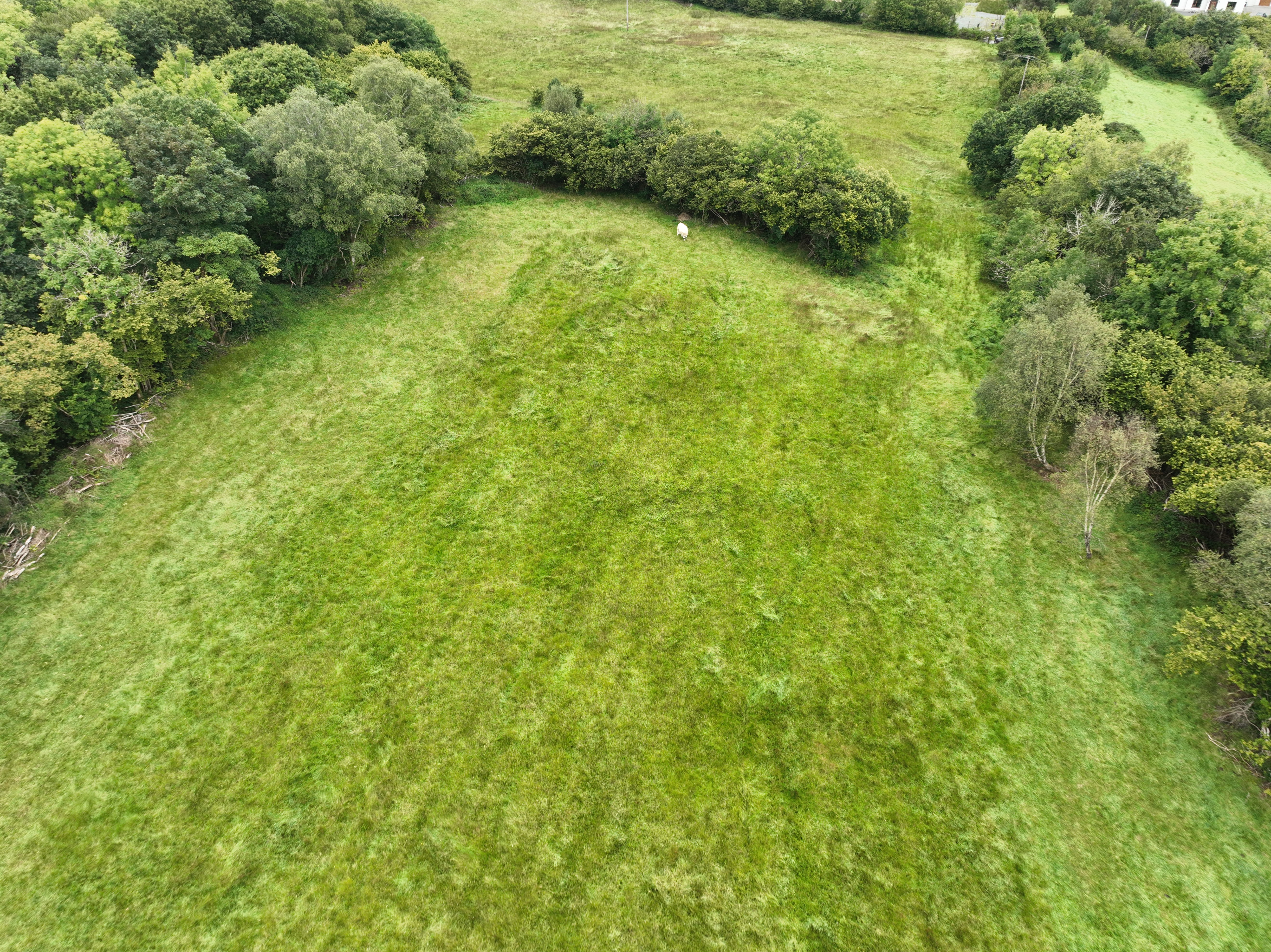 Clogher Beg, Calry, Co. Sligo