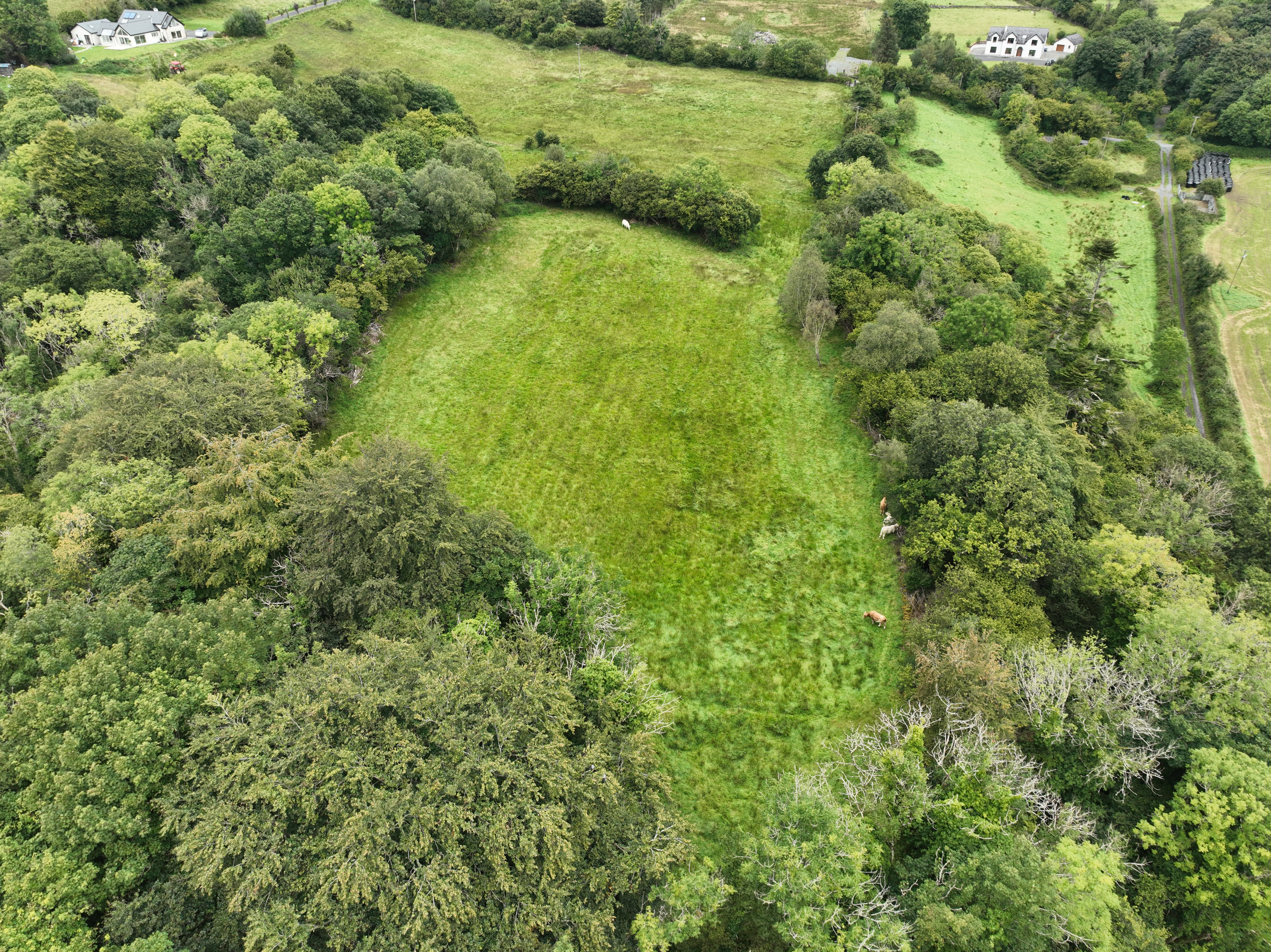 Clogher Beg, Calry, Co. Sligo