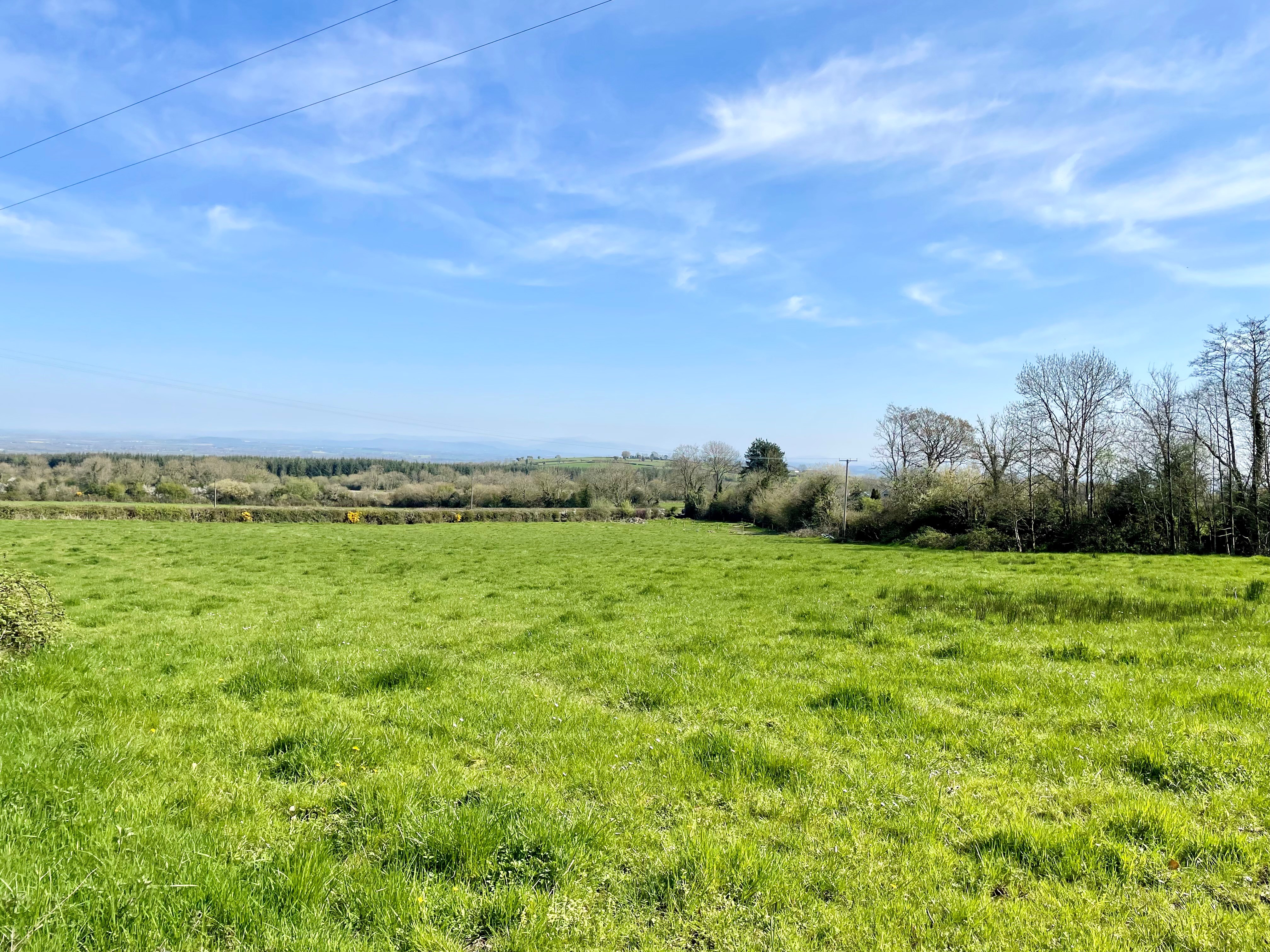 Tolerton, Ballickmoyler, Carlow, Co. Laois Tolerton, Ballickmoyler, Carlow, Co. Laois