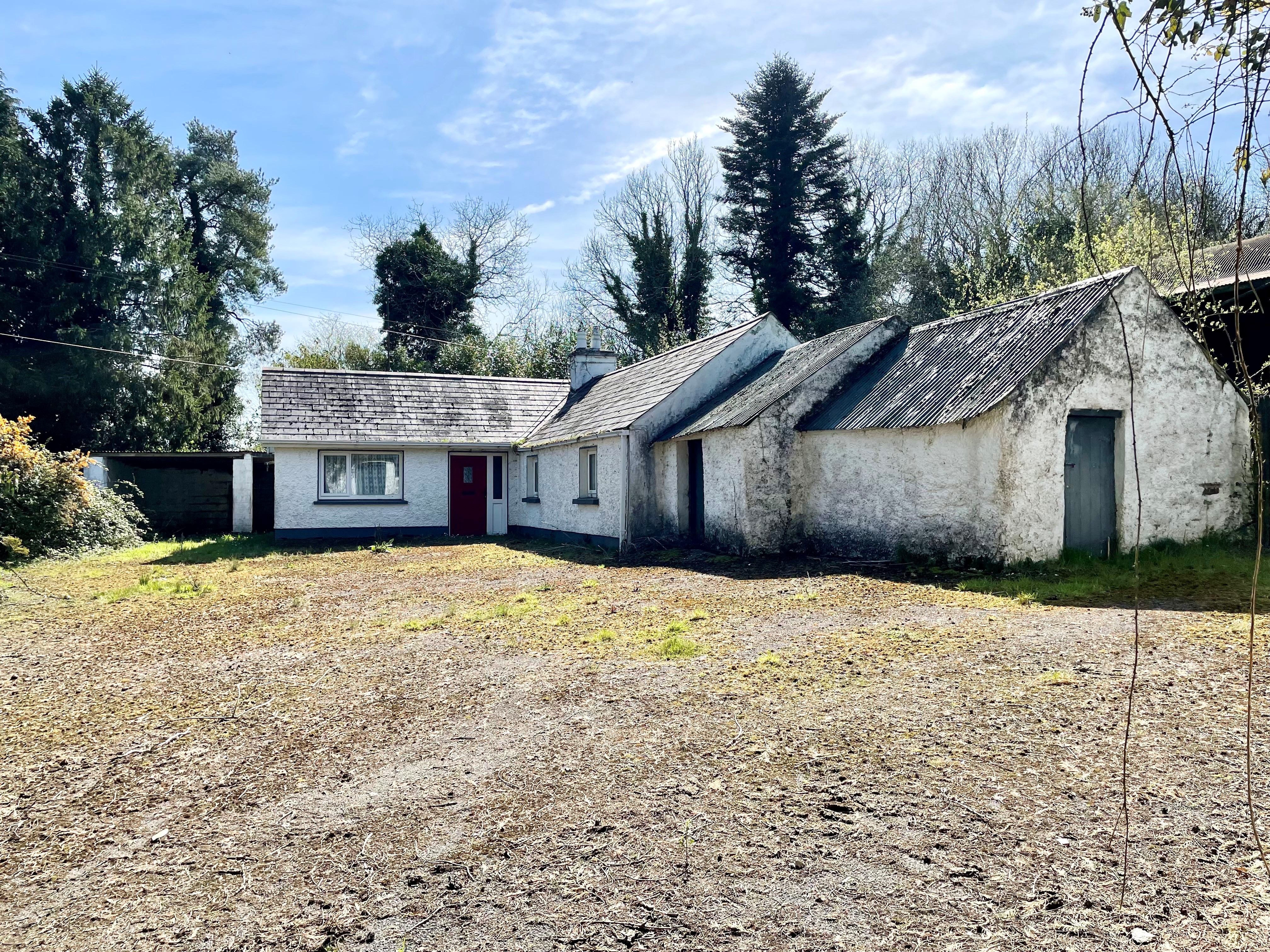 Tolerton, Ballickmoyler, Carlow, Co. Laois
