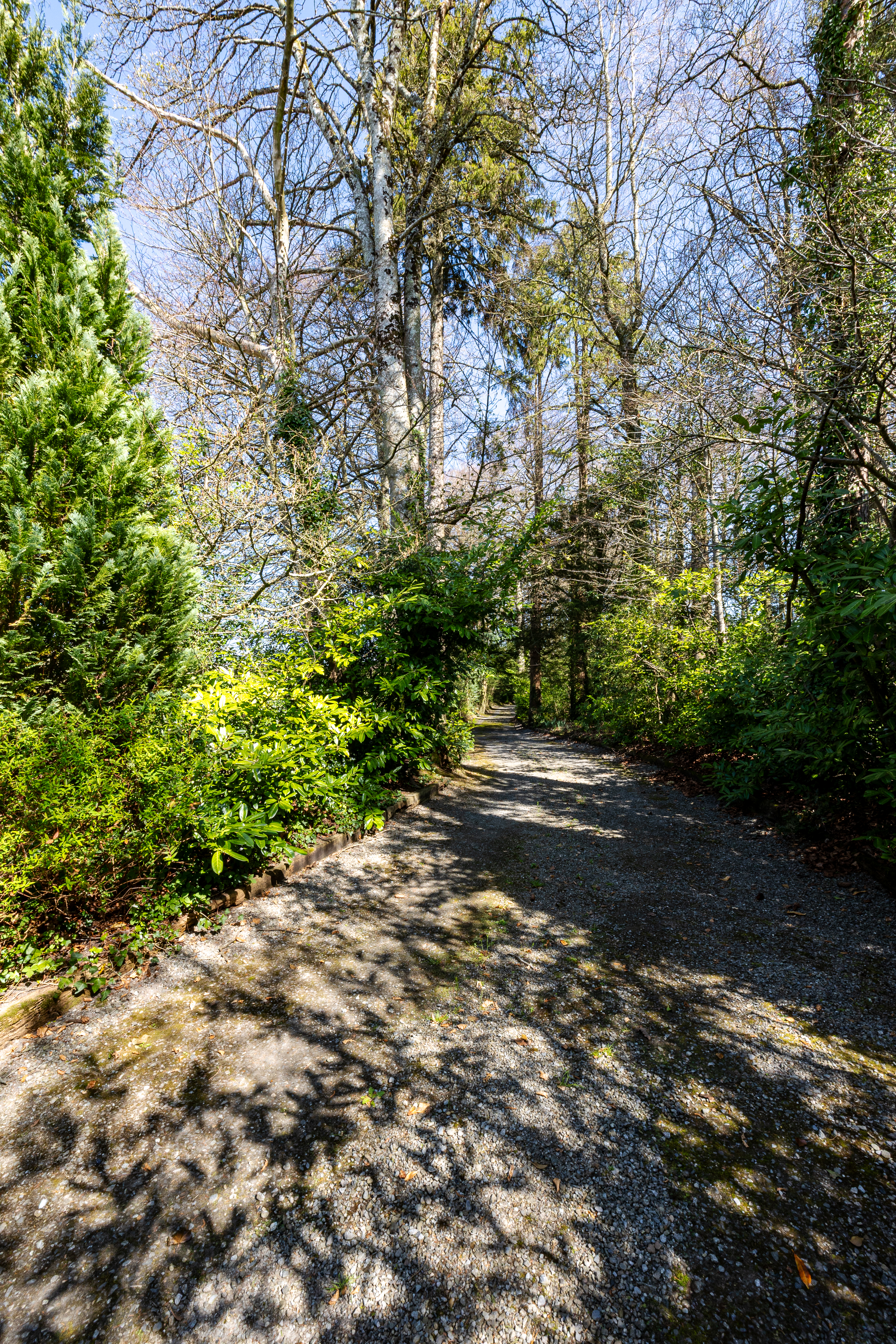 Heath House, Ballacolla Road, Abbeyleix, Co. Laois Heath House, Ballacolla Road, Abbeyleix, Co. Laois