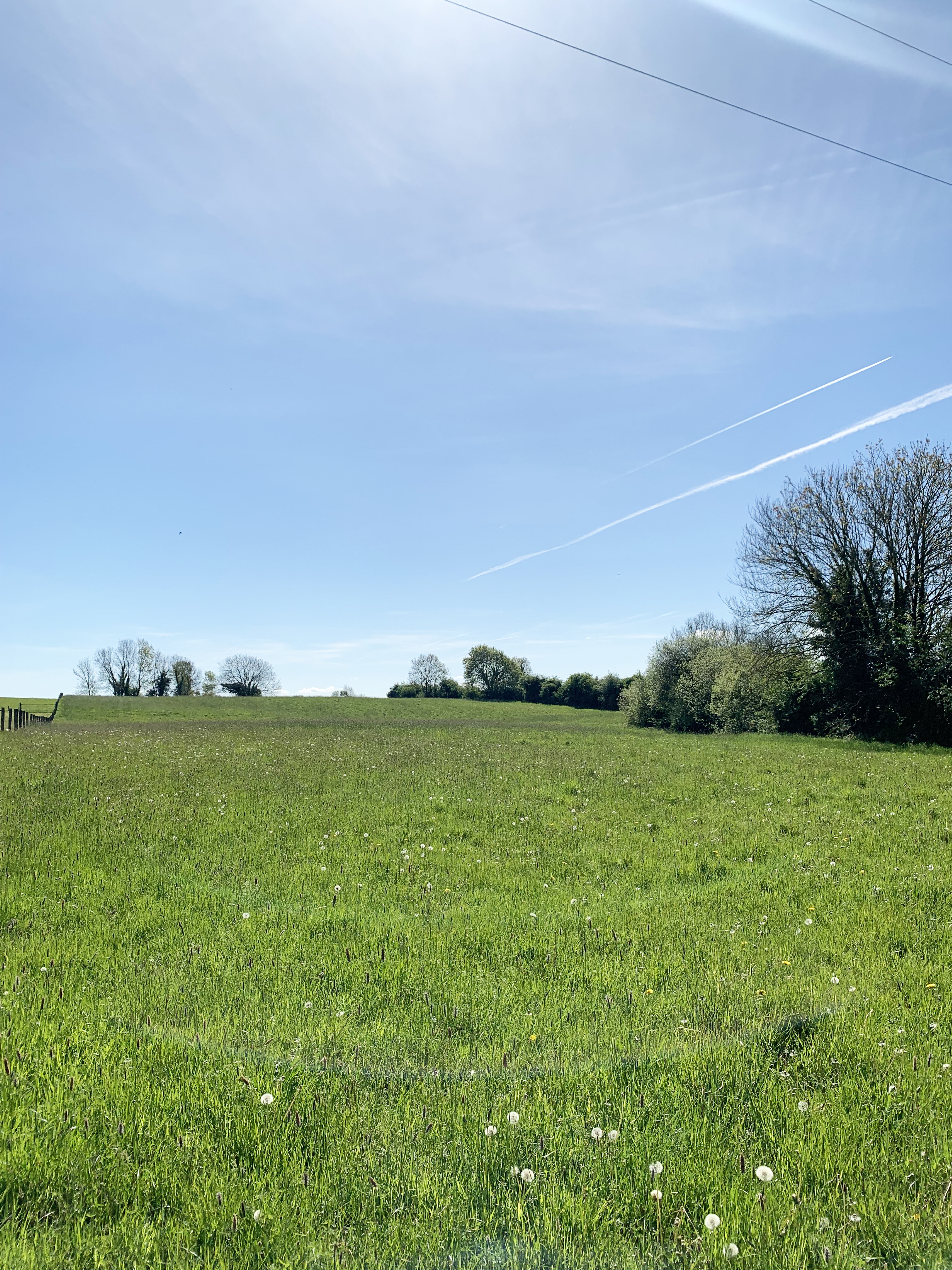 Brookfield, Templemartin, Clara, Co. Kilkenny Brookfield, Templemartin, Clara, Co. Kilkenny