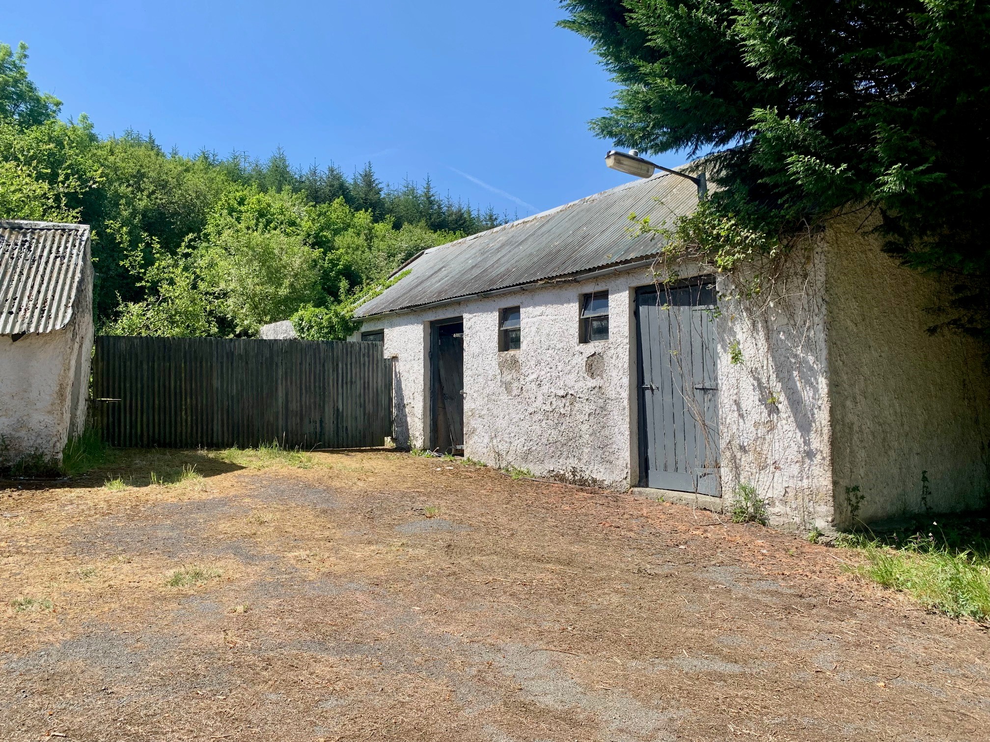 Tolerton, Ballickmoyler, Carlow, Co. Laois