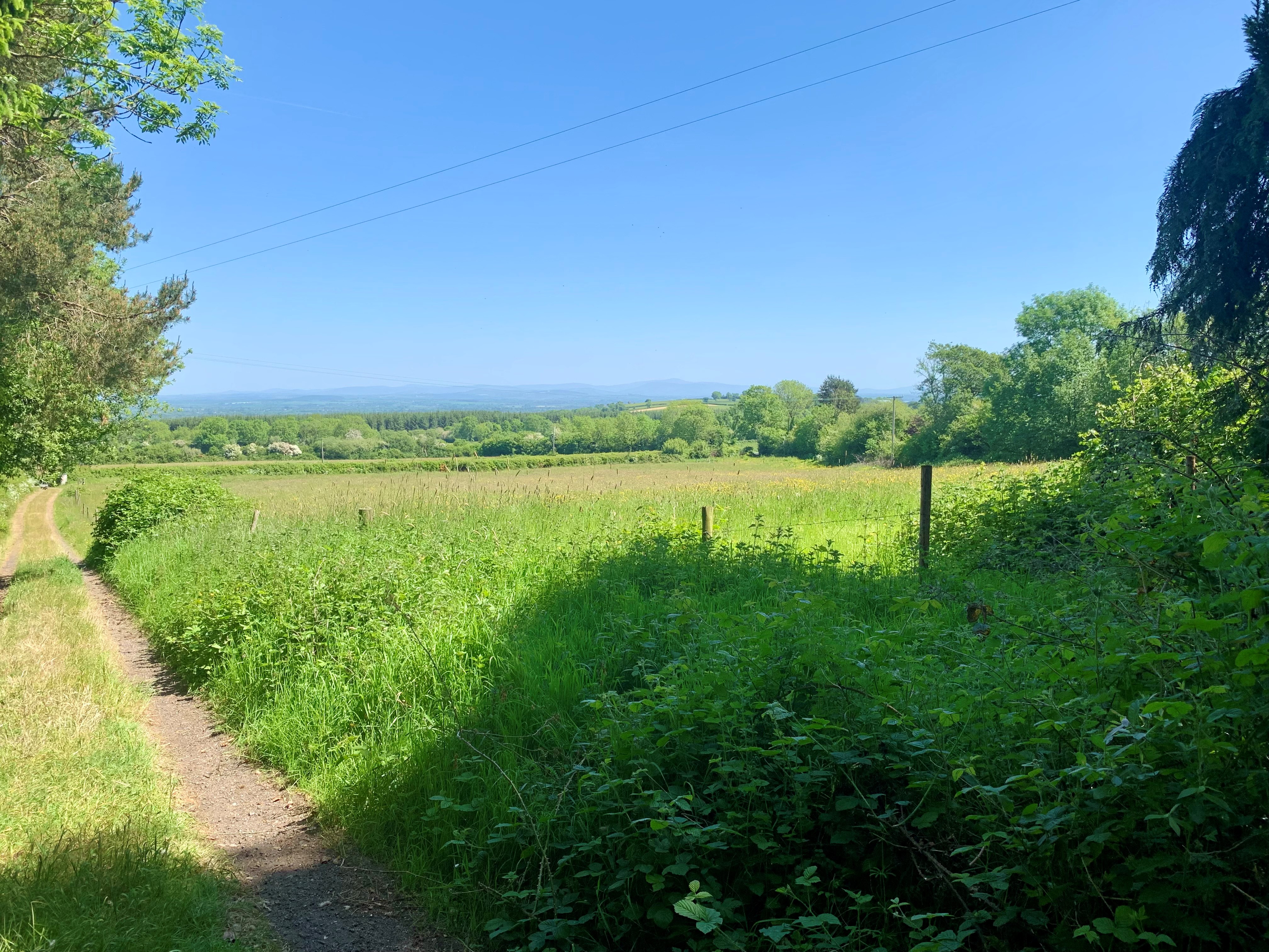 Tolerton, Ballickmoyler, Carlow, Co. Laois