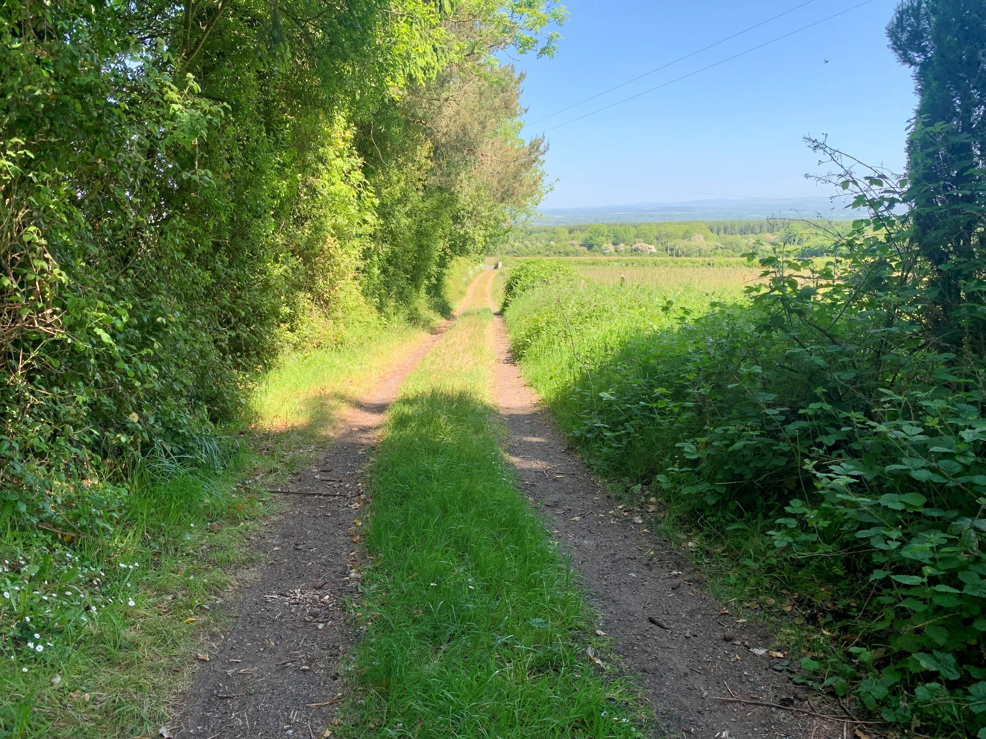Tolerton, Ballickmoyler, Carlow, Co. Laois