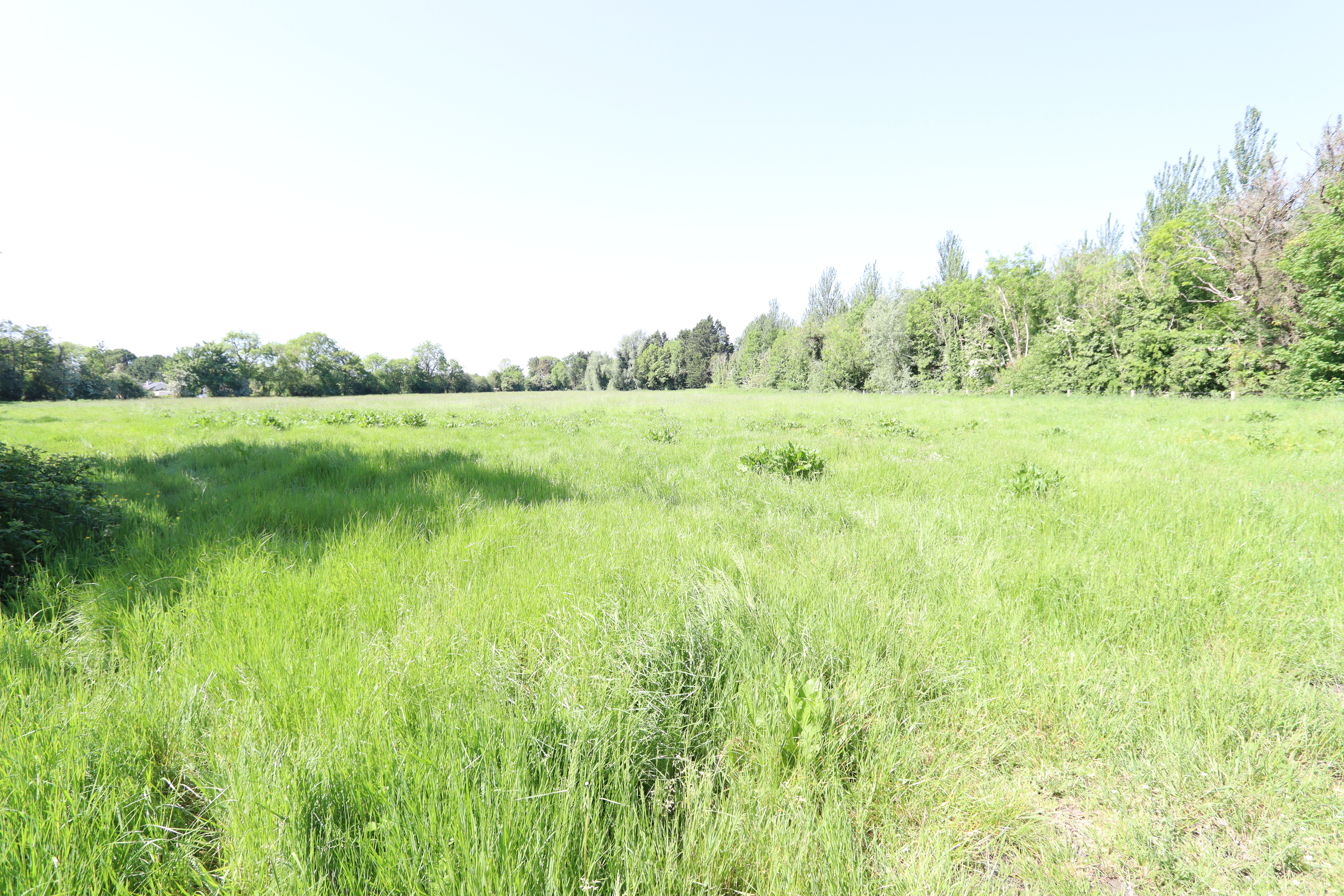 Calfstown,  Carbury, Co. Kildare