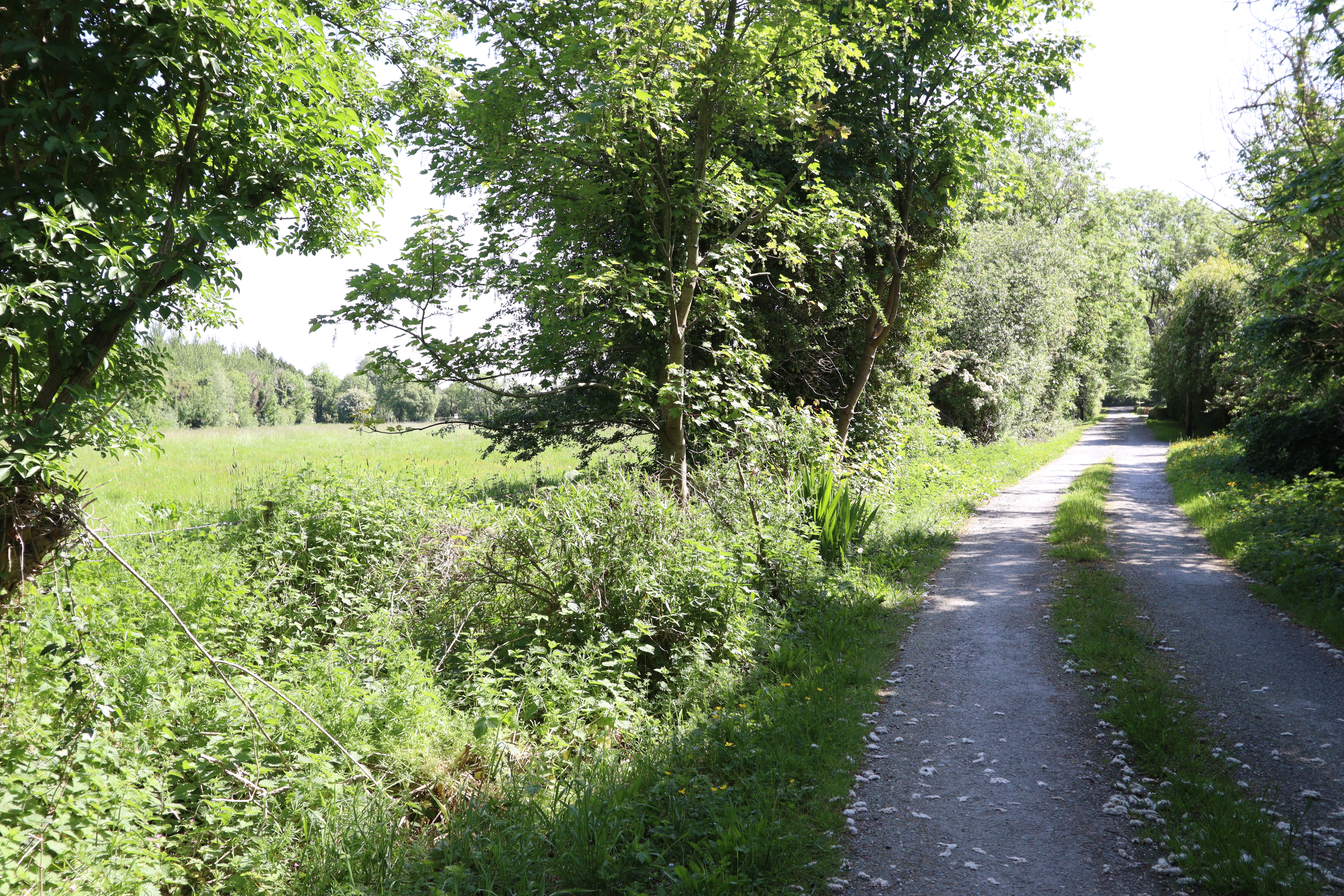 Calfstown,  Carbury, Co. Kildare